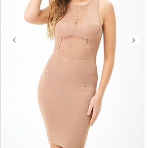 Perforated-Trim Open-Knit Dress